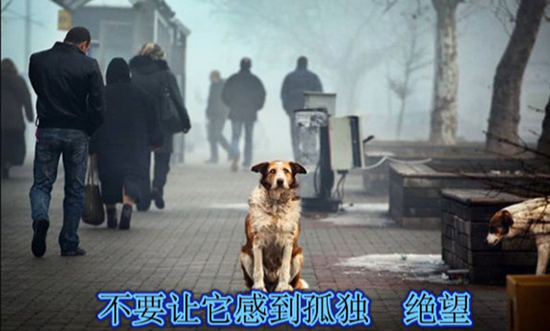 天水爱影圈微博微信转发案例